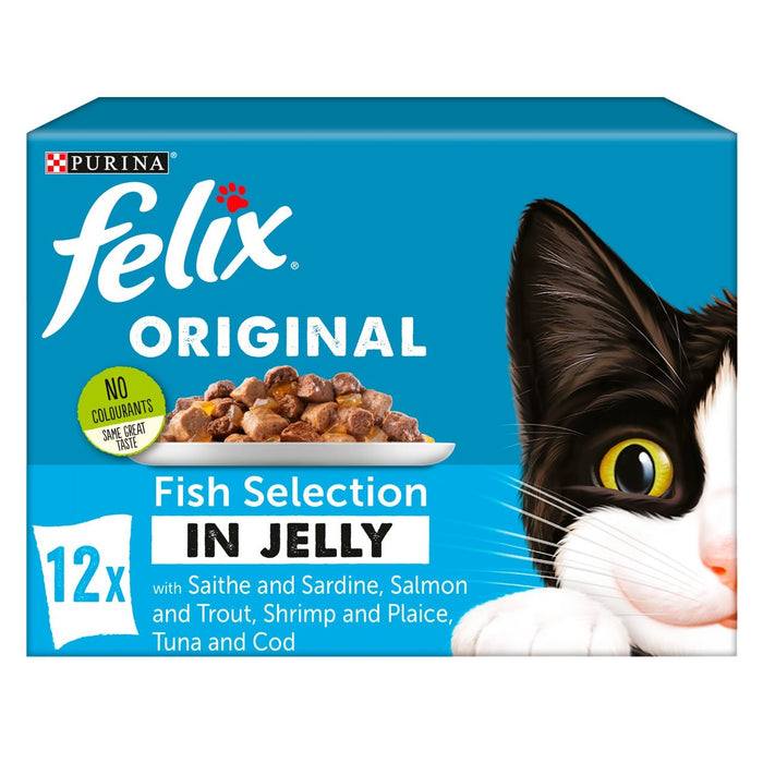 Selección de pescado de comida de Félix Cat en gelatina 12 x 100g